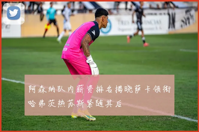 阿森纳队内薪资排名揭晓萨卡领衔哈弗茨热苏斯紧随其后