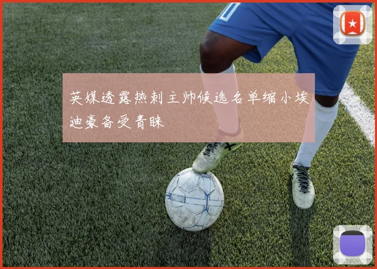 英媒透露热刺主帅候选名单缩小埃迪豪备受青睐