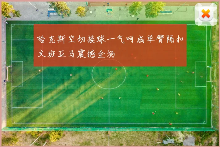 哈克斯空切接球一气呵成单臂隔扣文班亚马震撼全场