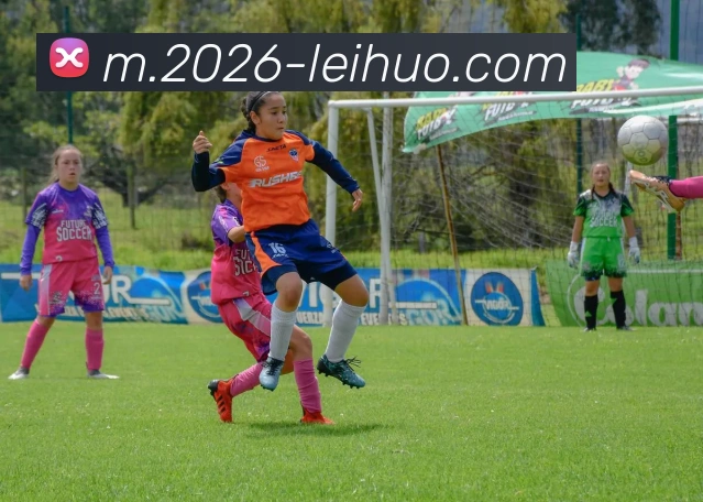 雷火电竞平台生态图