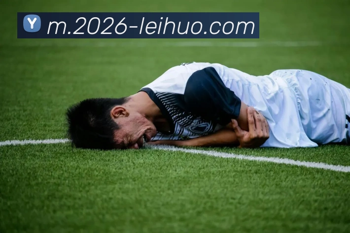 雷火电竞APP 封面图